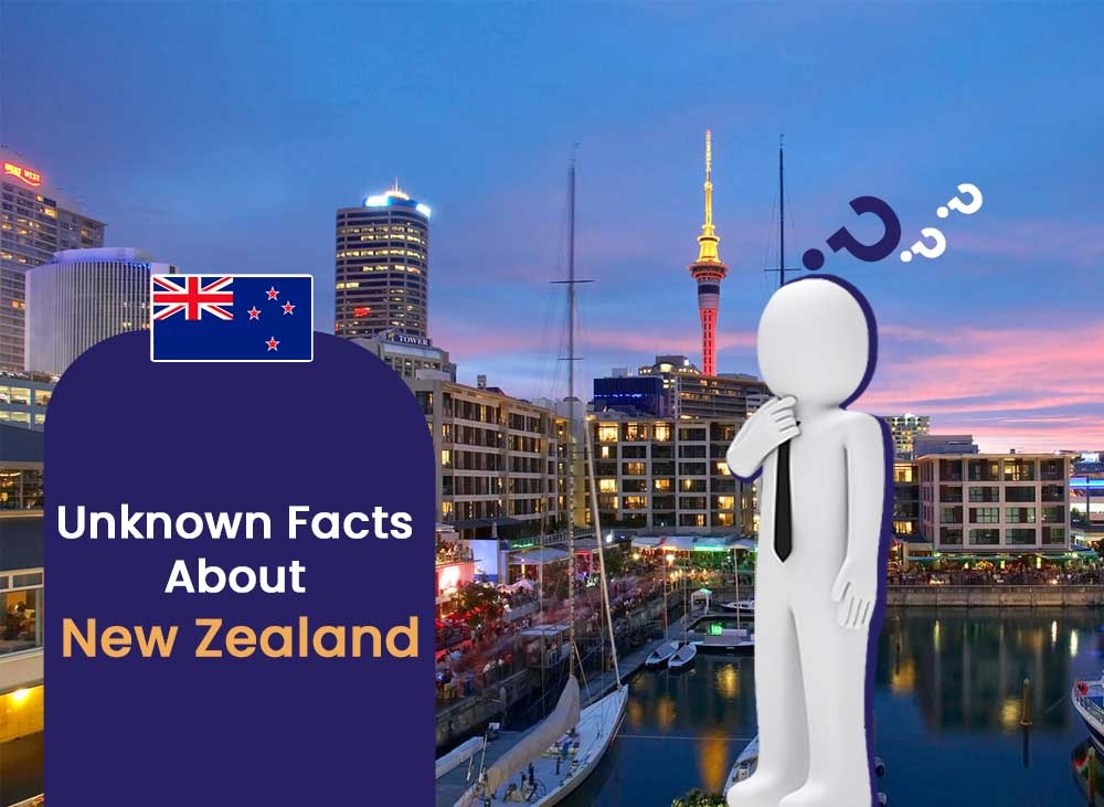 51-UnknownFactsAboutNewZealand.jpg